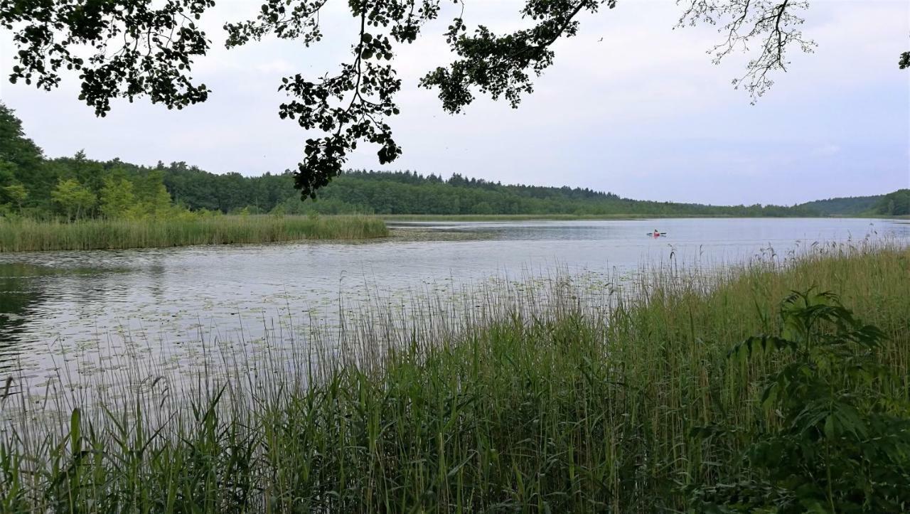 Вилла Ferienhaus Dora Рехлин Экстерьер фото